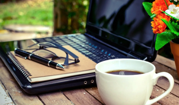 Calm desk scene with notebook and plant